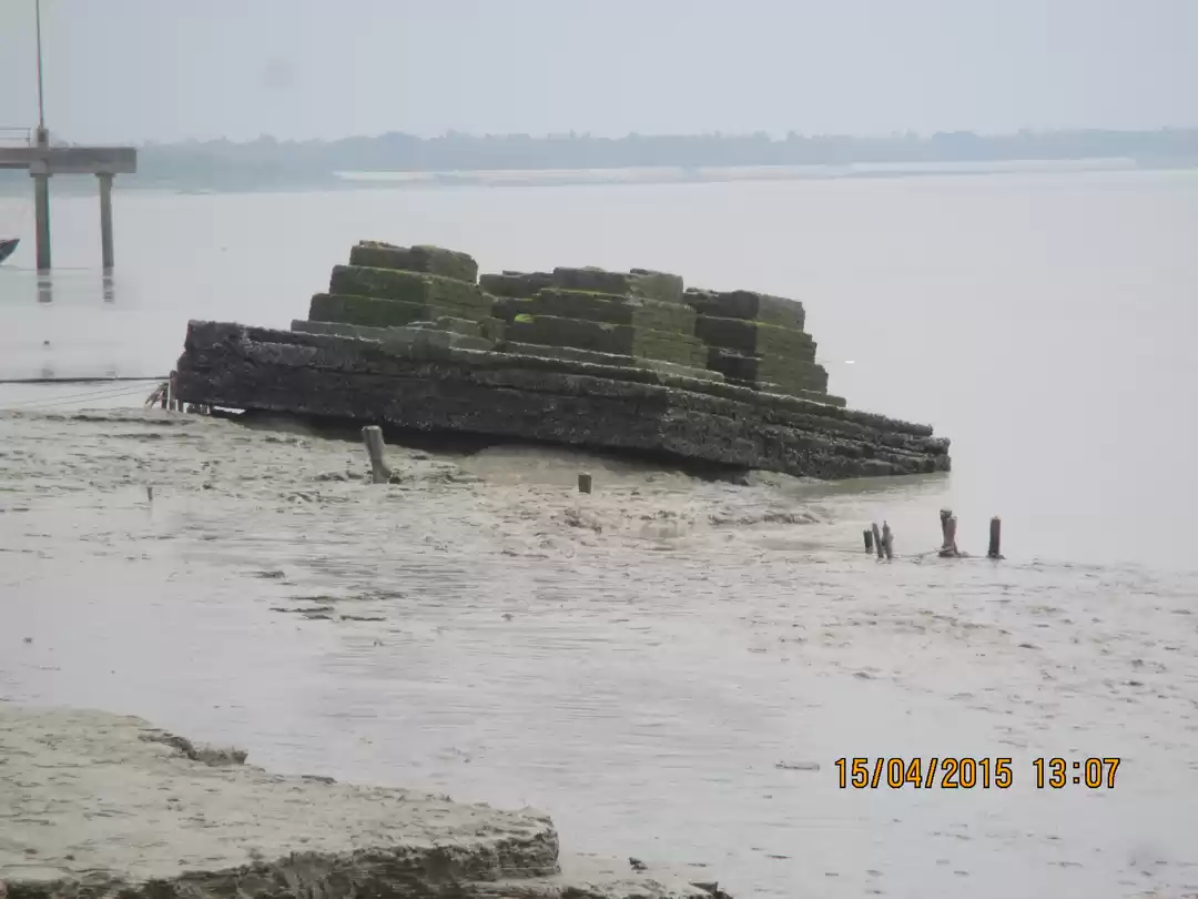 Photo of In search of Chingri