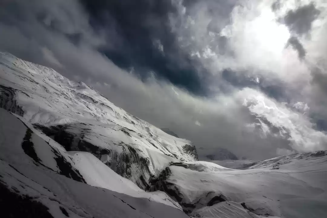 Photo of Everything You Need