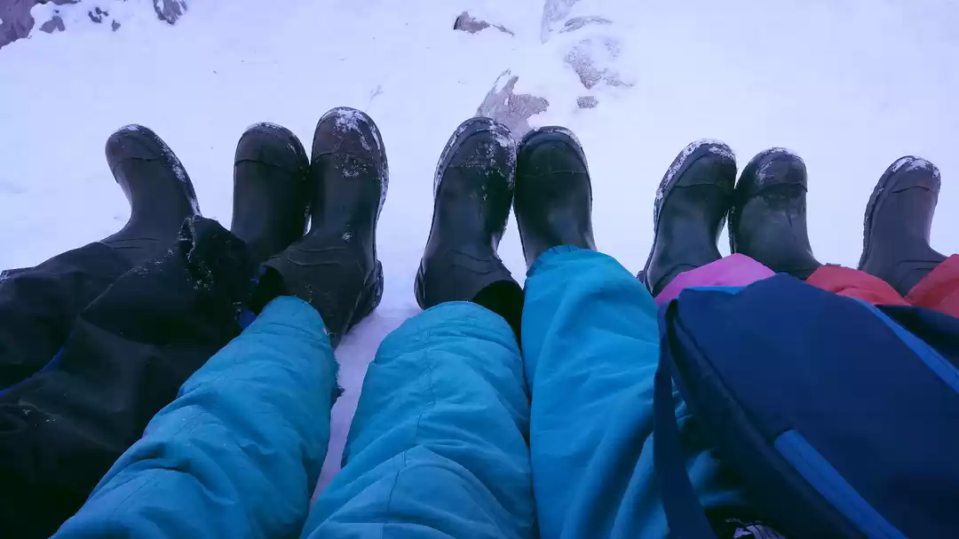 Photo of A walk in nature’s l