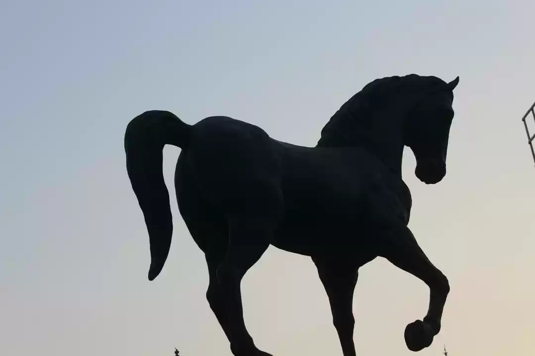 Photo of Feel the Art at Kala