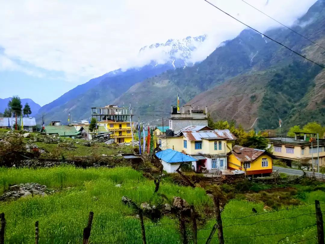 Photo of A trip in the Mini S