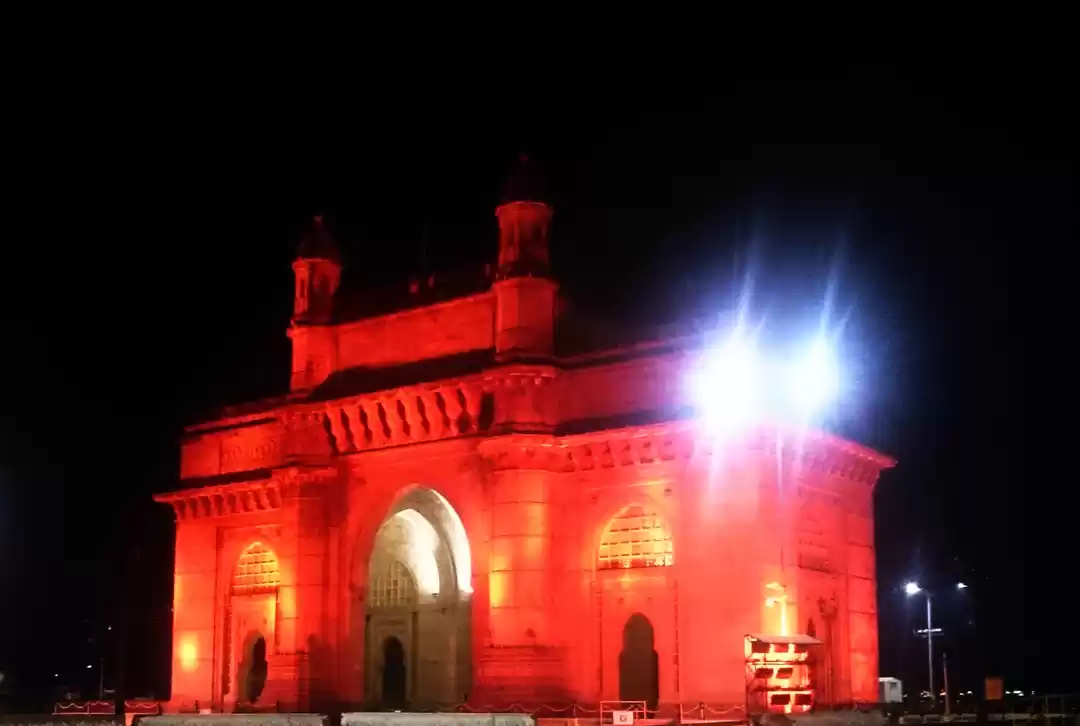 Photo of Hop on Hop off buses