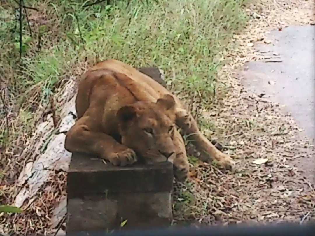 Photo of Top Destinations to