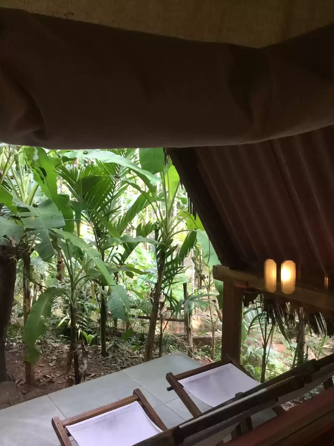 Photo of Tarkarli will leave 