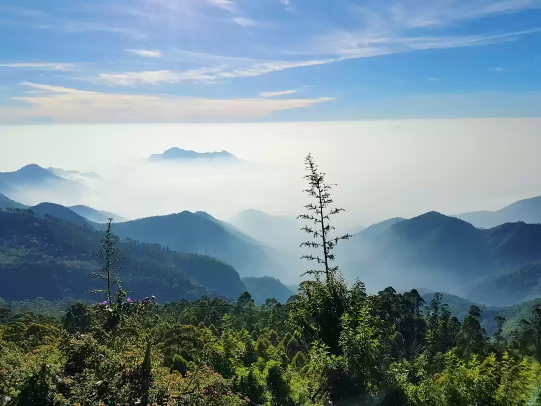 Photo of Enchanting Kodaikana