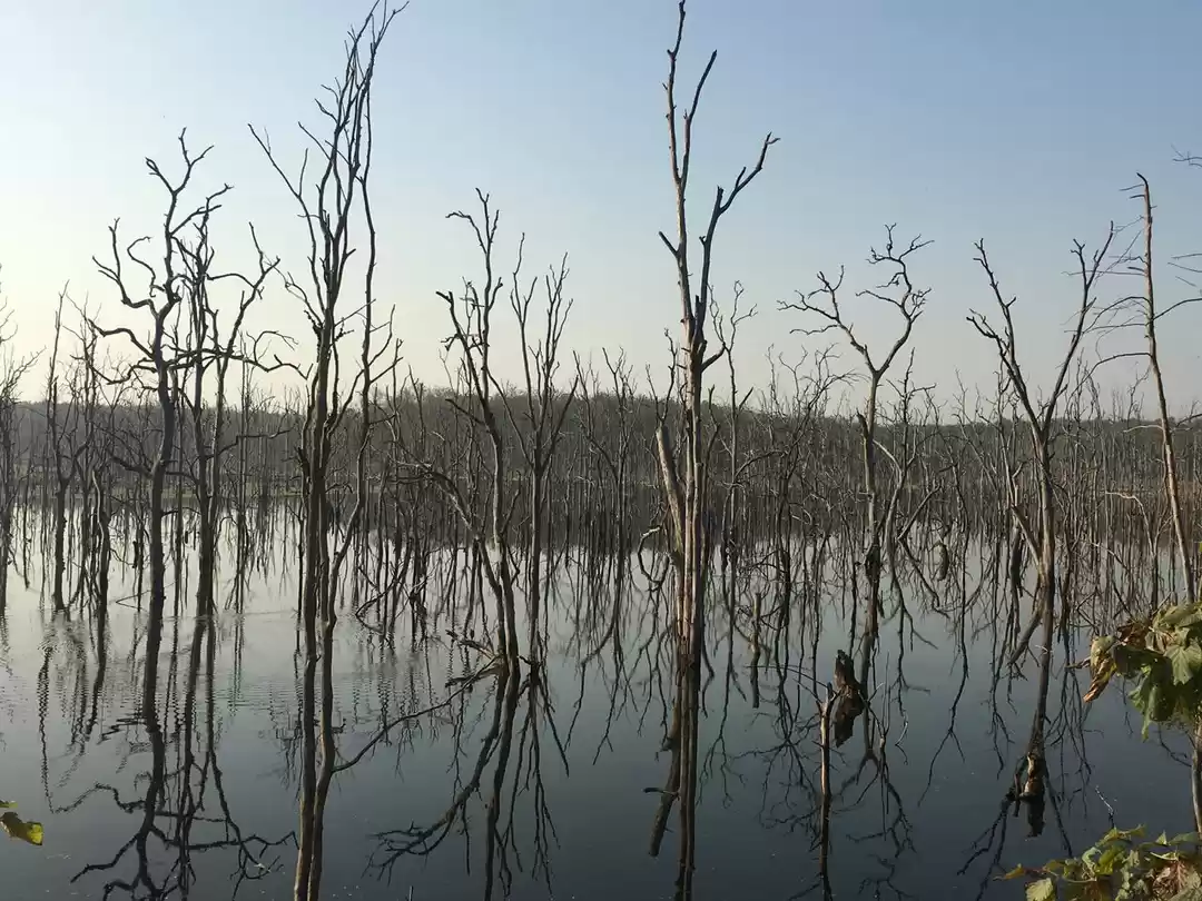 Photo of Serene beauty of Bar
