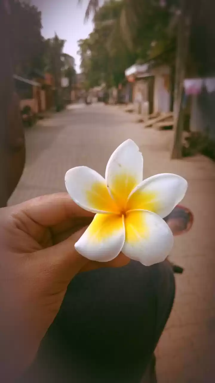 Photo of Nomoshkaar, Assam!