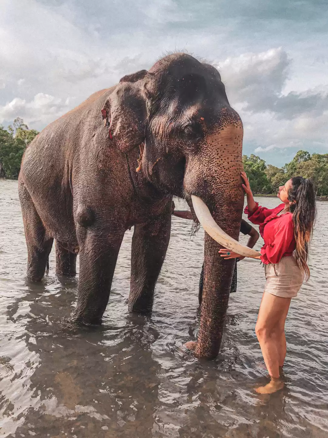 Photo of Dubare Elephant Camp