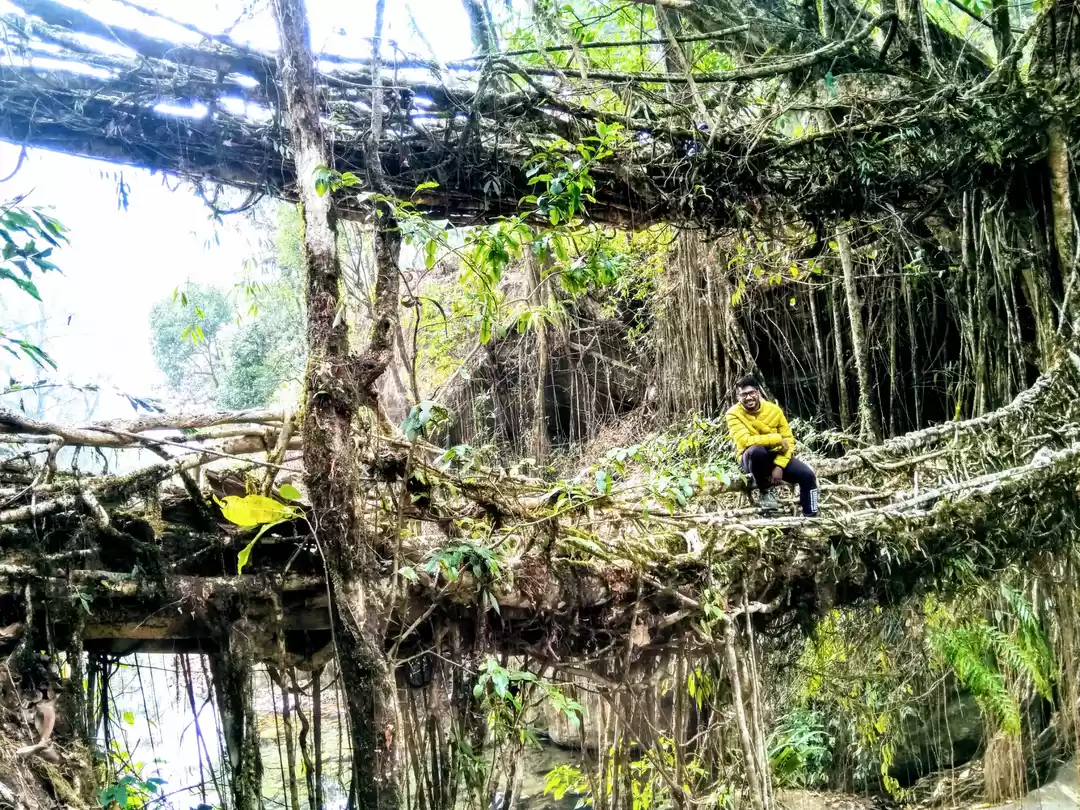 Photo of Meghalaya : Paradise