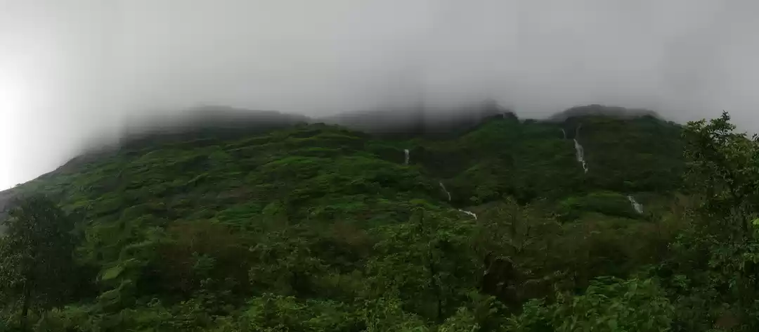 Photo of Soak up all monsoon 
