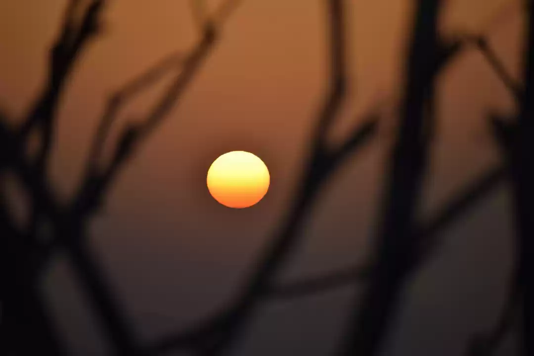 Photo of Catch that fairy tal