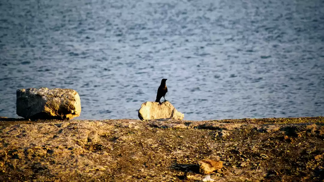 Photo of A peaceful conversat