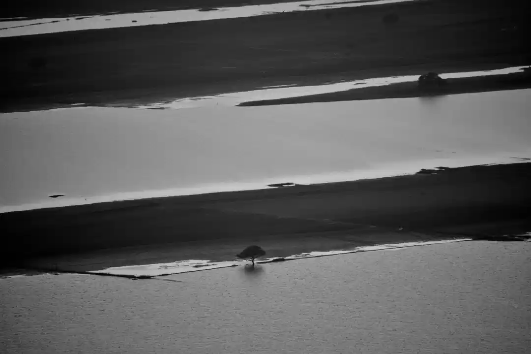 Photo of Hidden somewhere in 