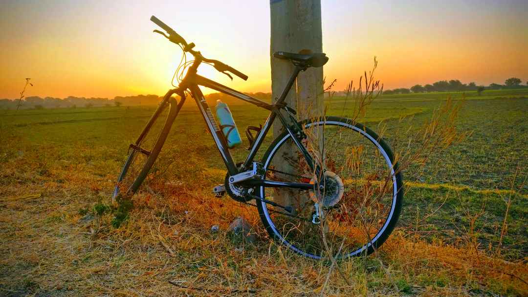 A Serendipitous Morning Ride To Bird Sanctuary Called Thol Lake From Ahmedabad Tripoto