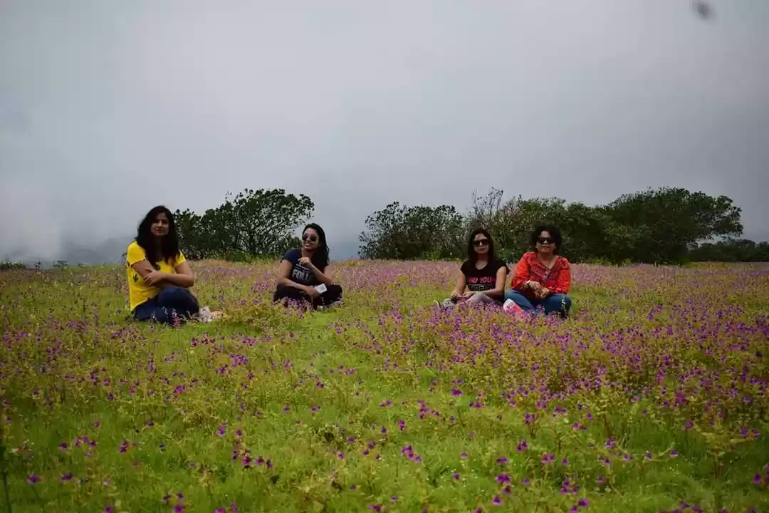 Photo of Kaas Plateau: Valley