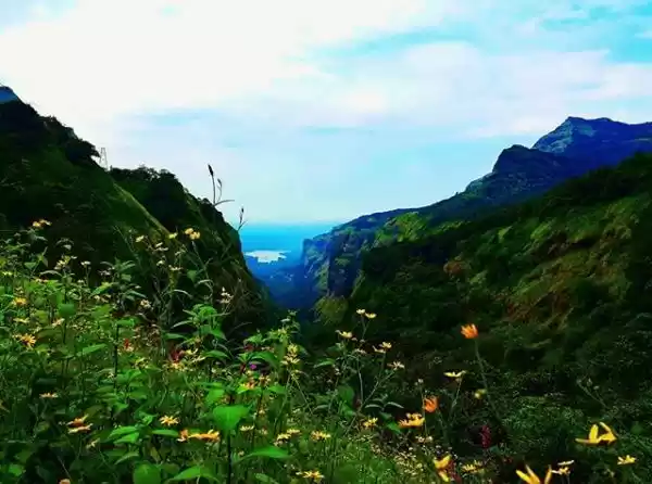 Photo of Andharban - The Dark