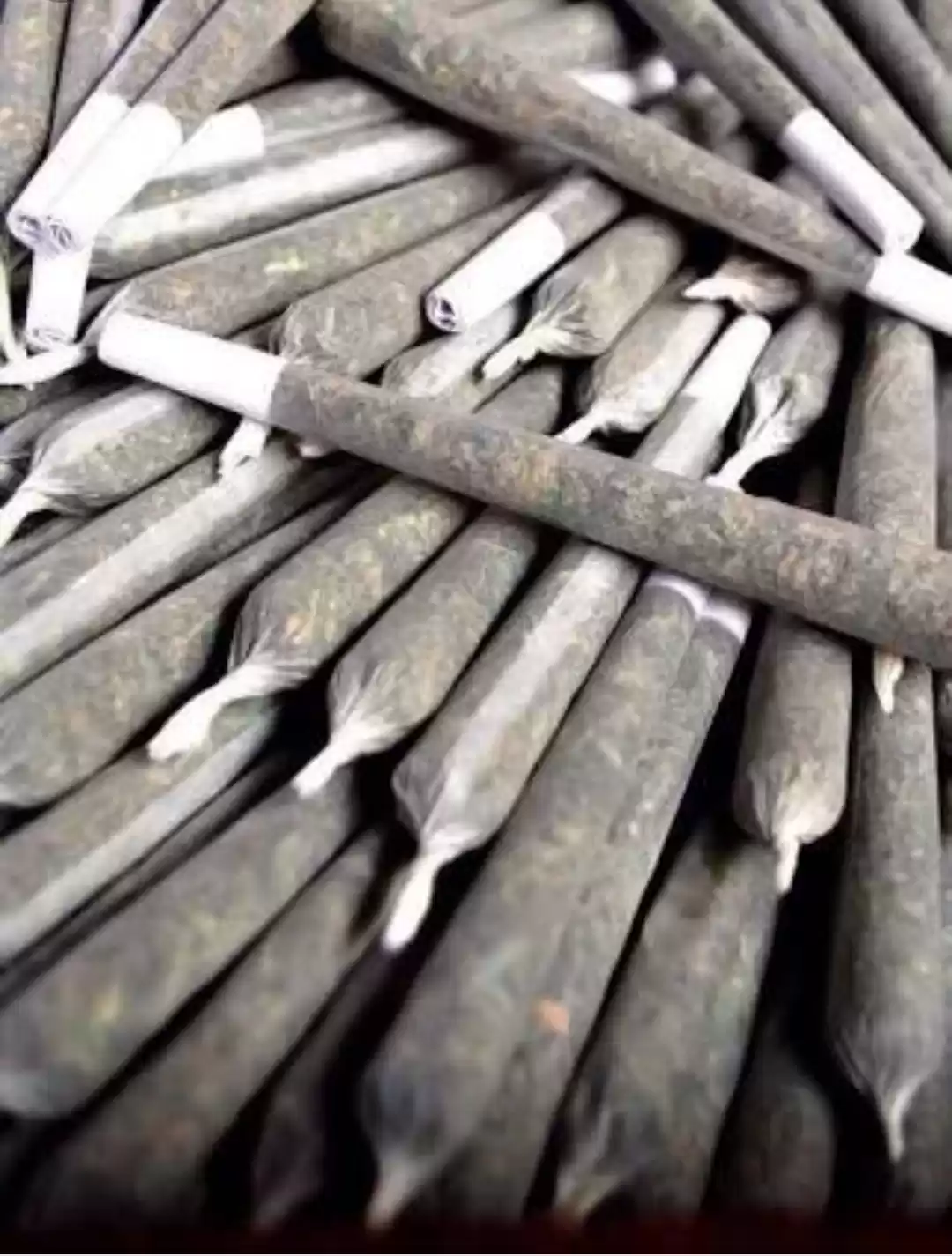 Photo of Get High on Nature,