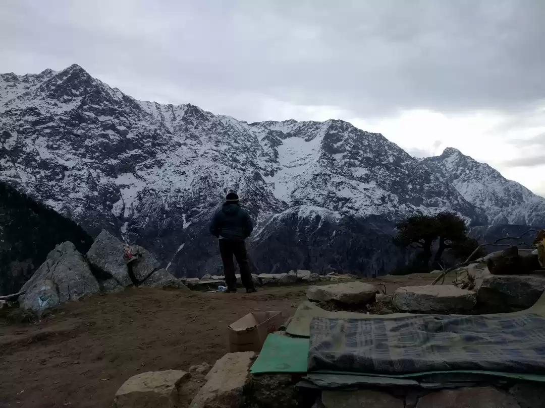 Photo of The Himalayan Medici