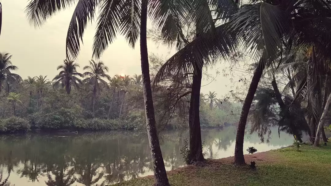 Photo of Bekal - The Taj Expe