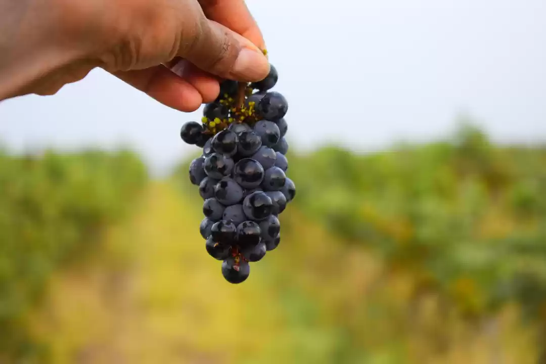 Photo of what's the time? its