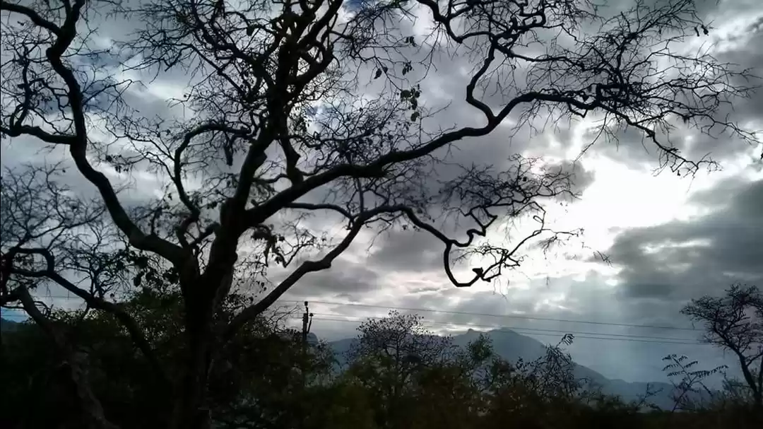 Photo of Fall in Love with LO