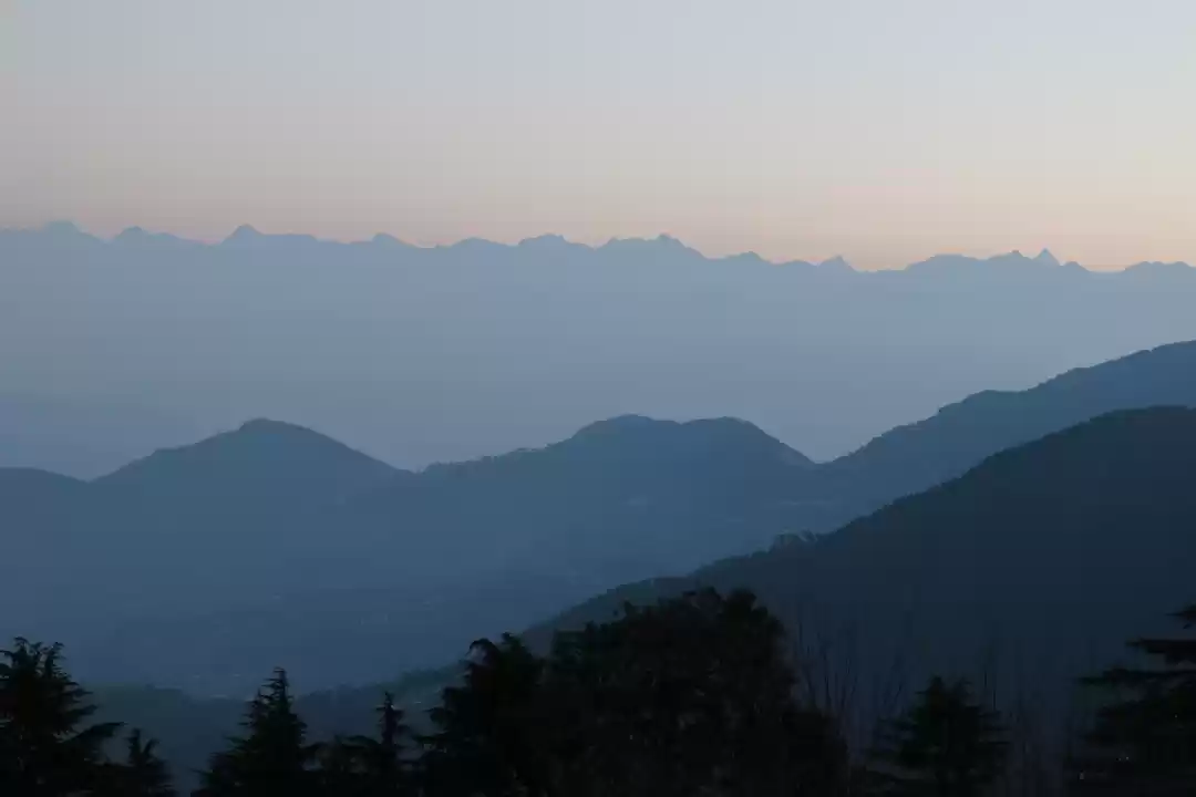 Photo of Solo at Incredible H