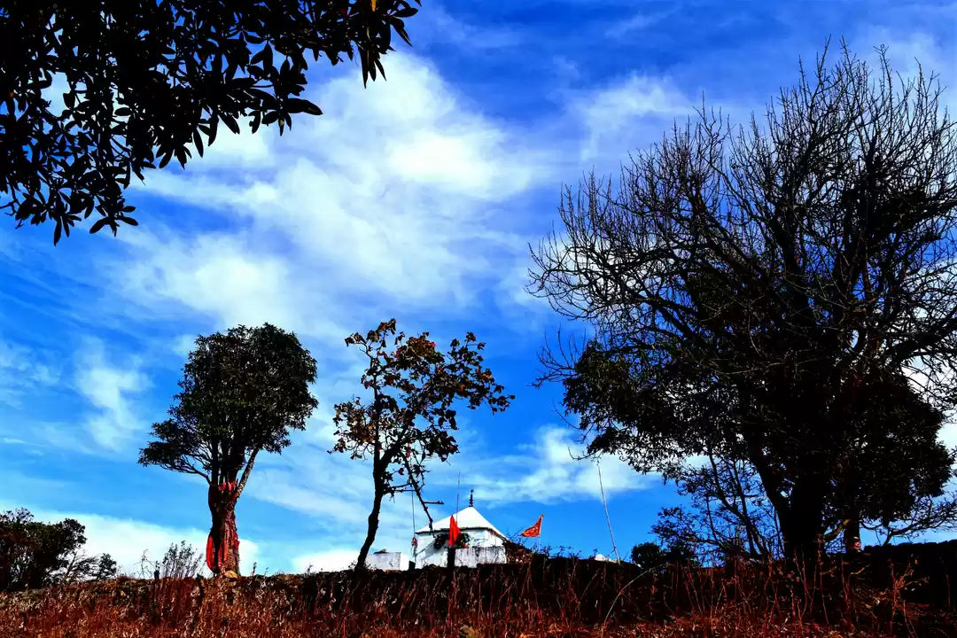 Photo of New year celebration