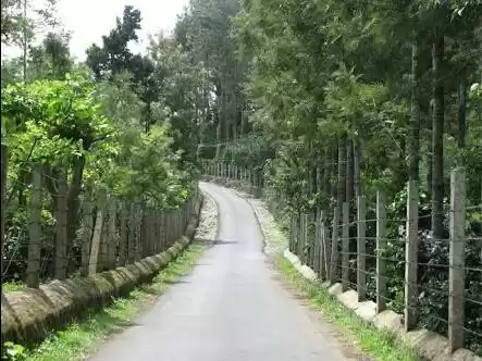 Photo of Yercaud Part -1. For