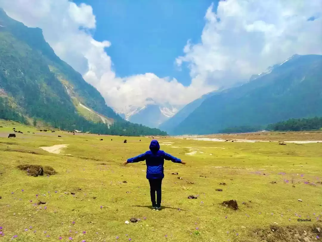 Photo of Sikkim's Valley of F