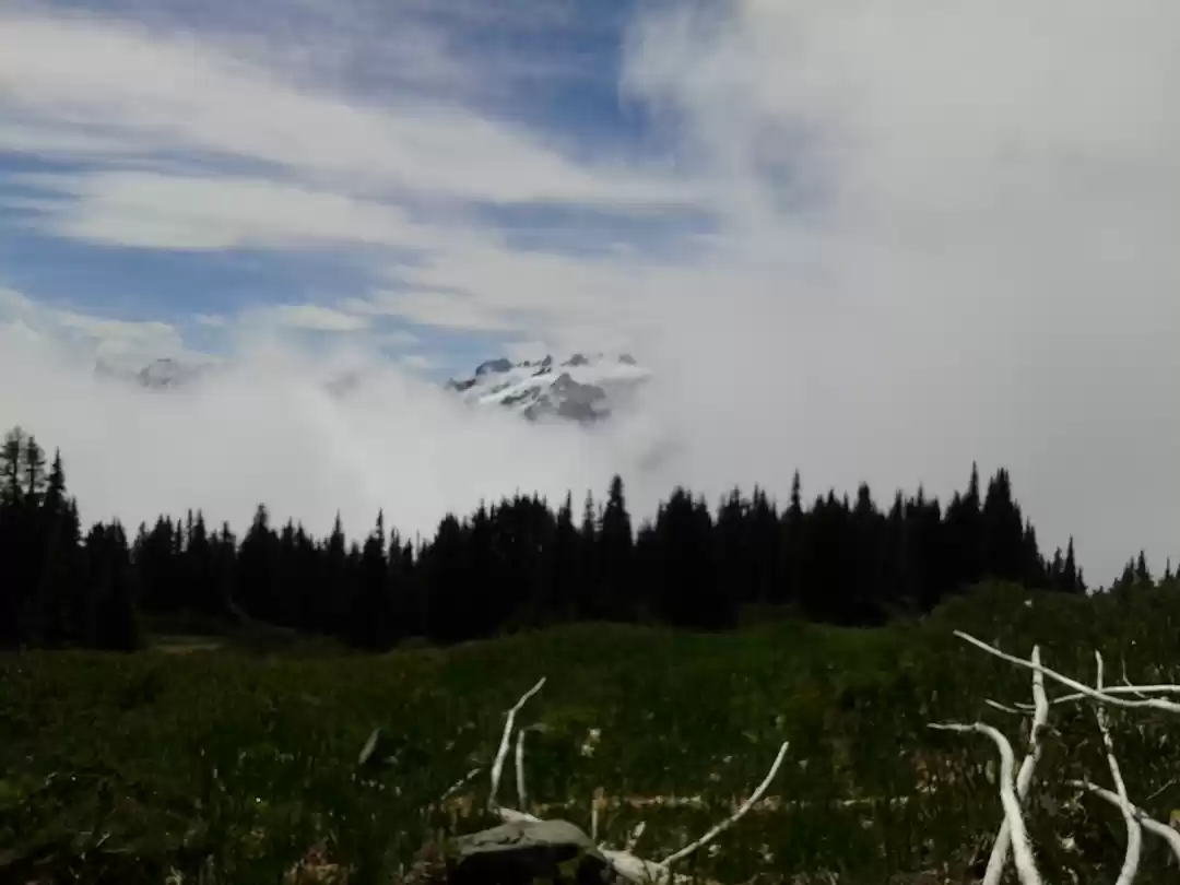 Photo of A Day In Clallam Cou