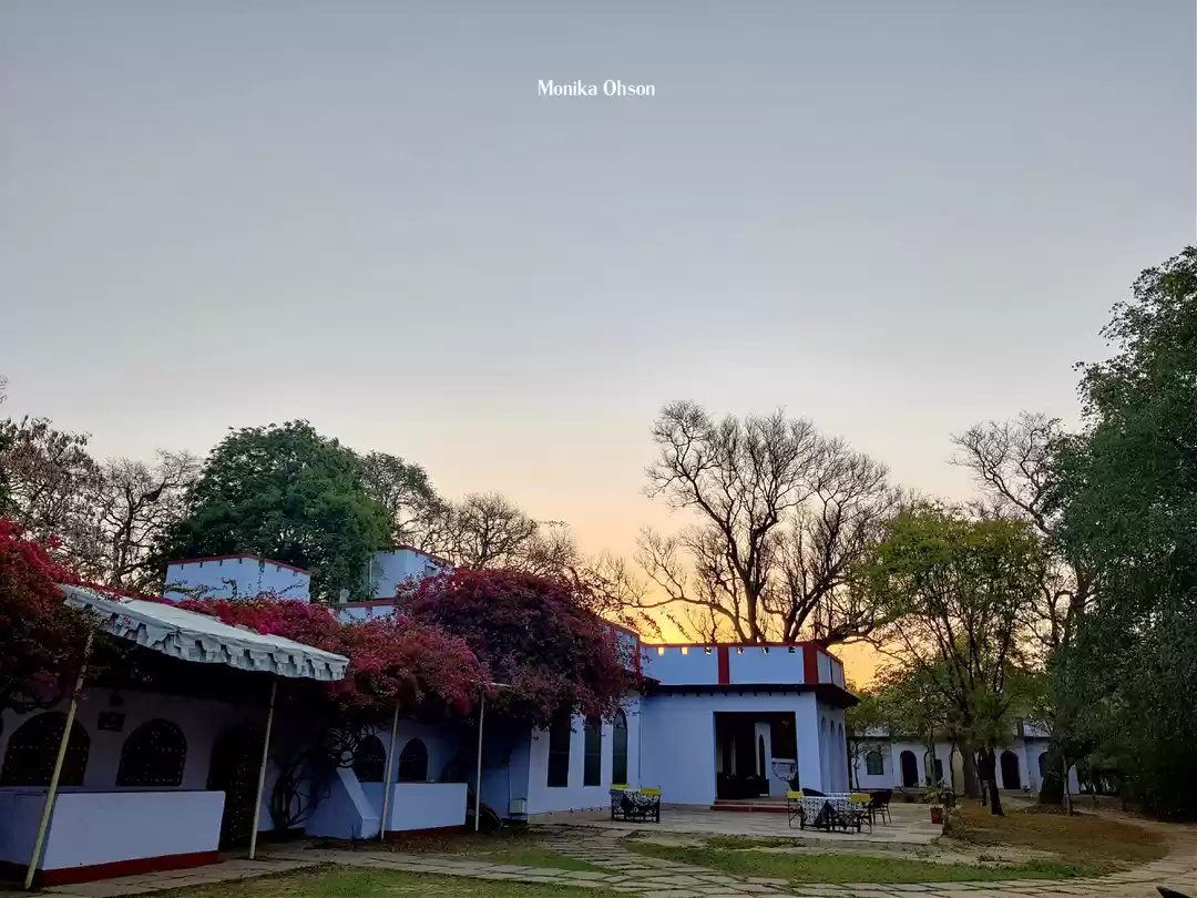 Photo of Mela Kothi, a soulfu