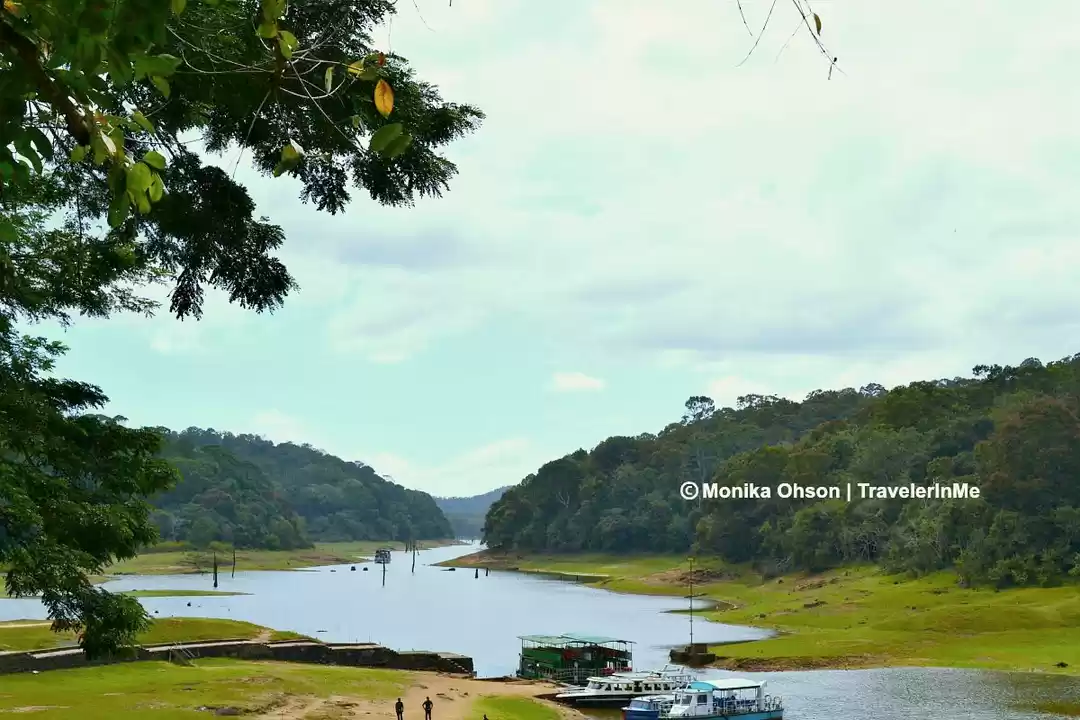 Photo of Thekkady, for the sp