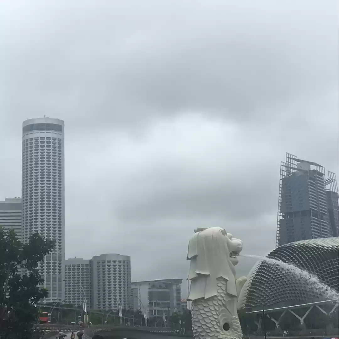 Photo of 5 DAYS IN SINGAPORE