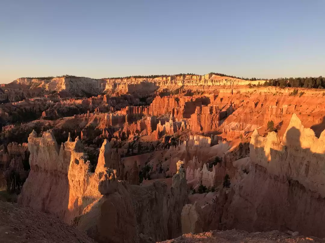 Photo of The Long weekend of 