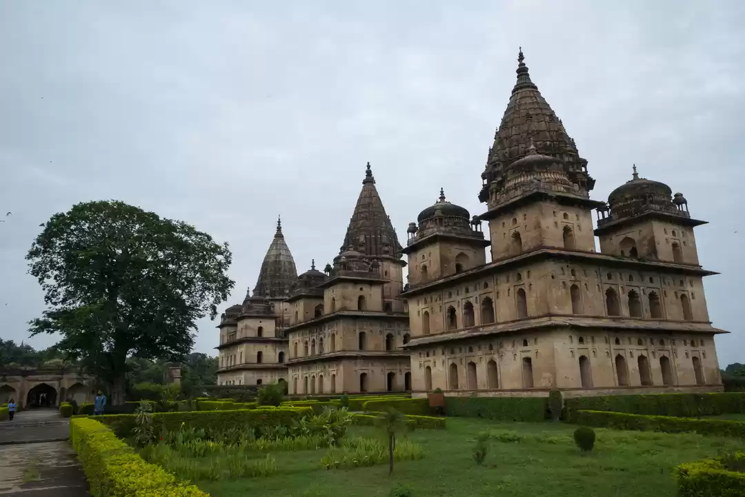 Photo of Tigers, Forts, Canyo