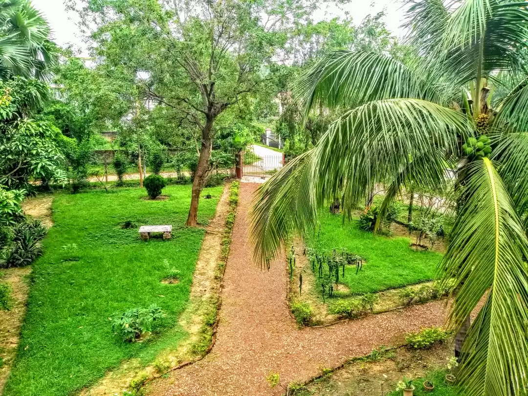 Photo of Travel Back To Tagor