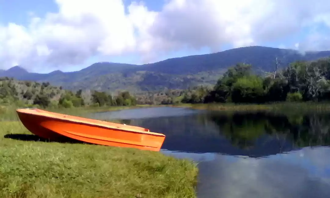 Photo of How I Almost Got Mar