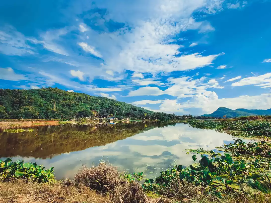 Photo of 5 Reasons Why You Sh