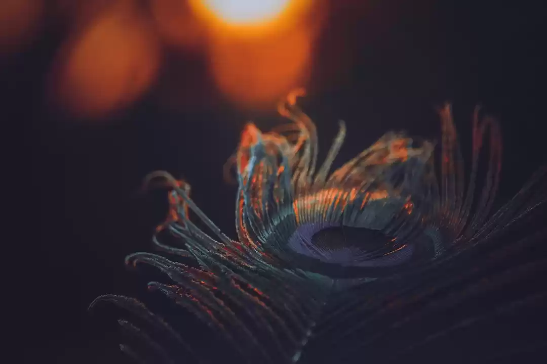 Photo of Do Not Miss Celebrat