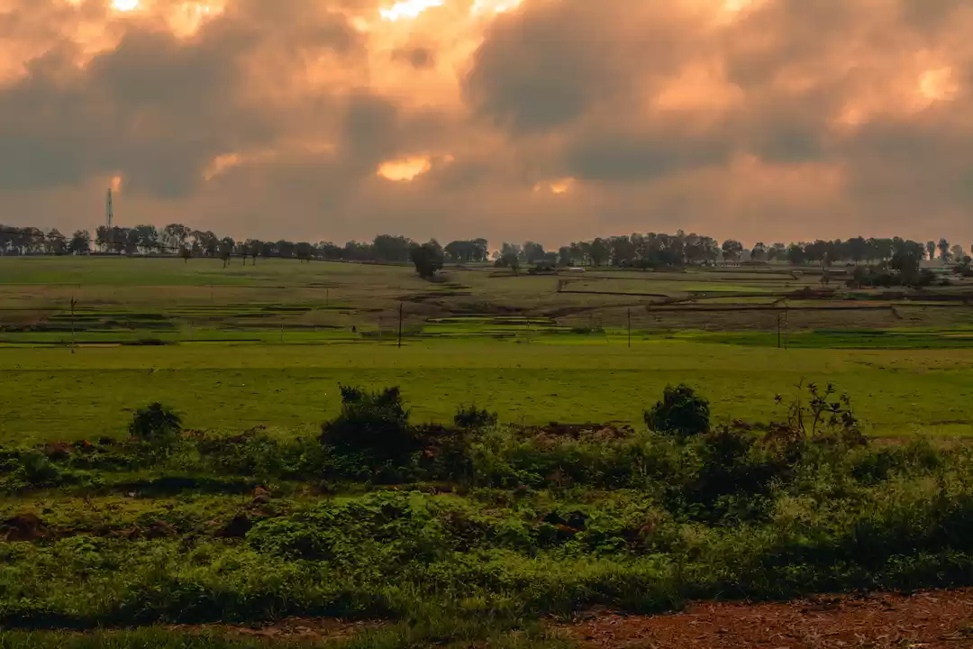 Photo of MAINPAT: CHATTISGARH