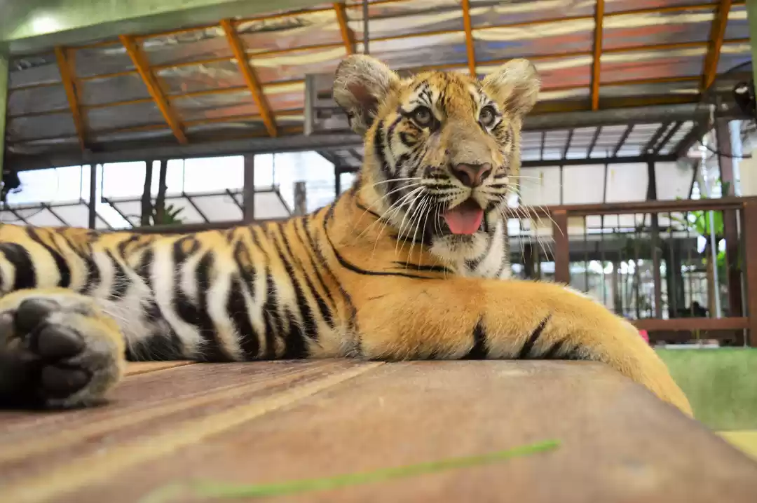 Photo of @jetairways @tripoto