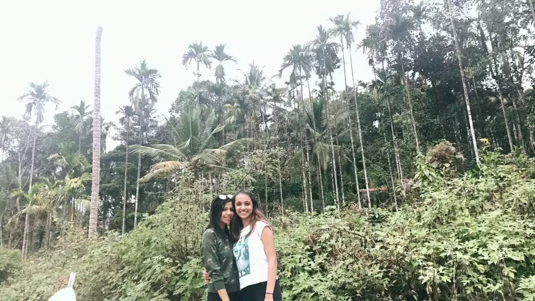 Photo of Trip to the South