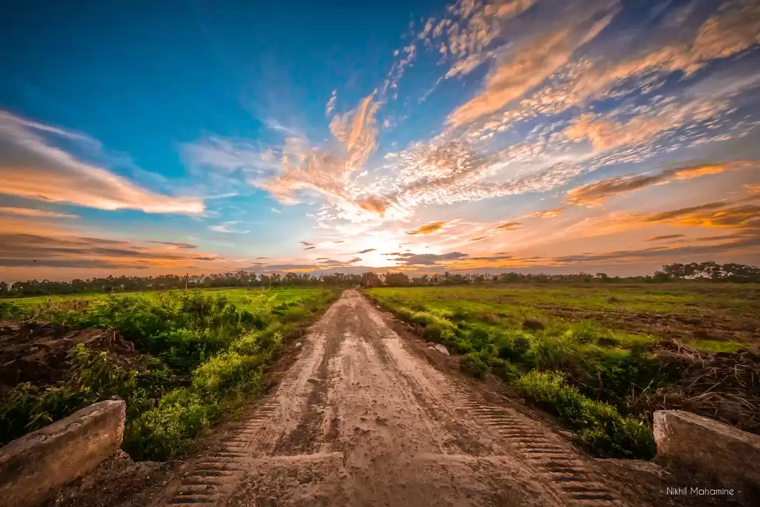 Photo of W O N D E R L A N D