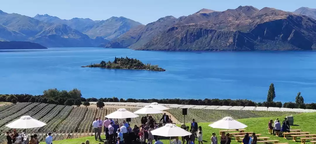 Photo of Highlights of a Summ