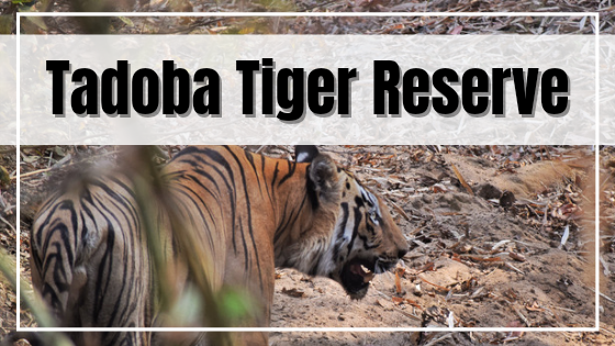 Photo of A Detailed Guide to