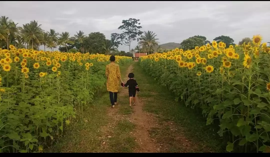 Photo of A trip to Masinagudi