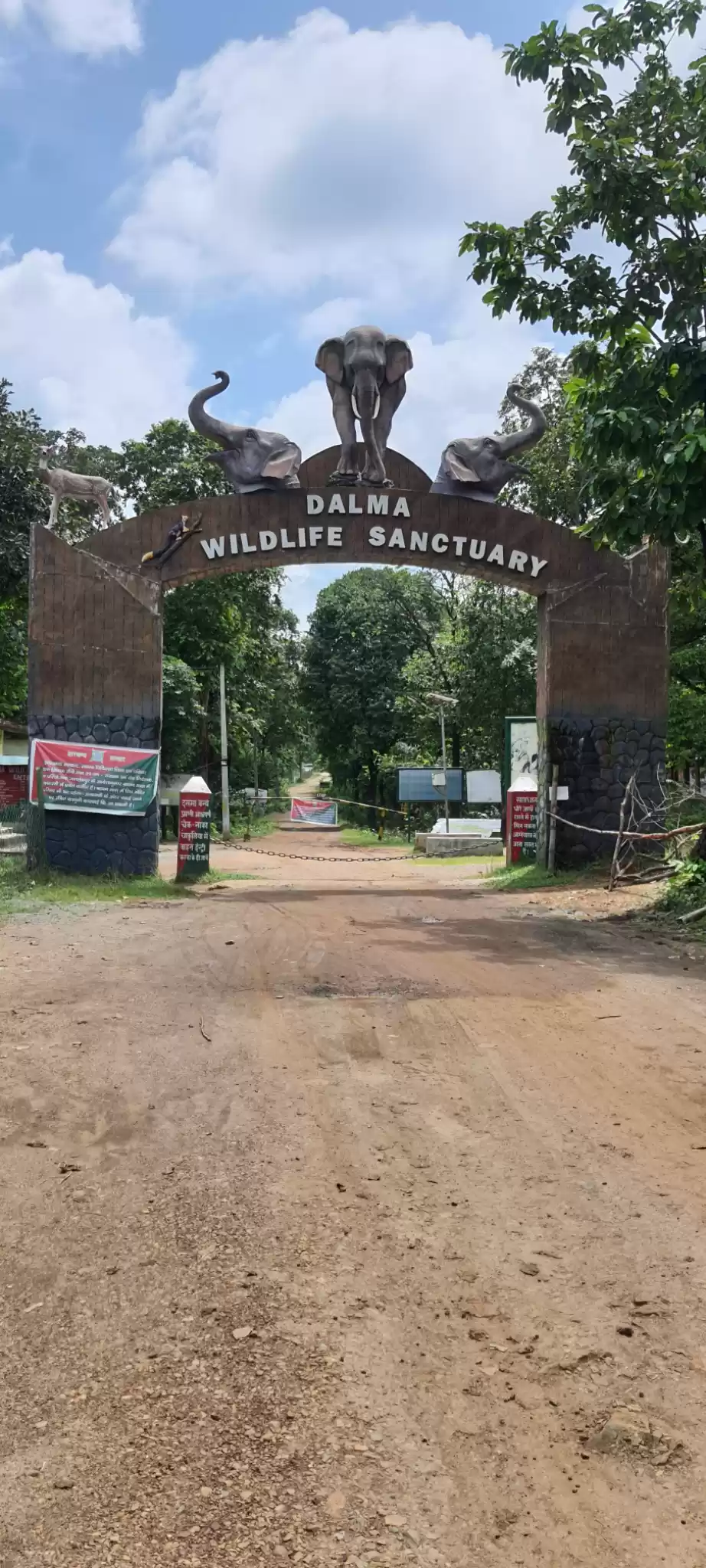 Photo of Dalma Wildlife Sanct