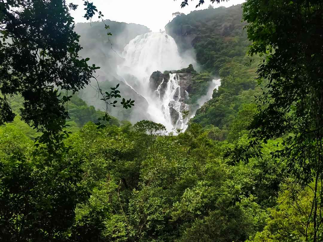 An Adventure Tale of Monsoon Trek to Dudhsagar Waterfall - Tripoto