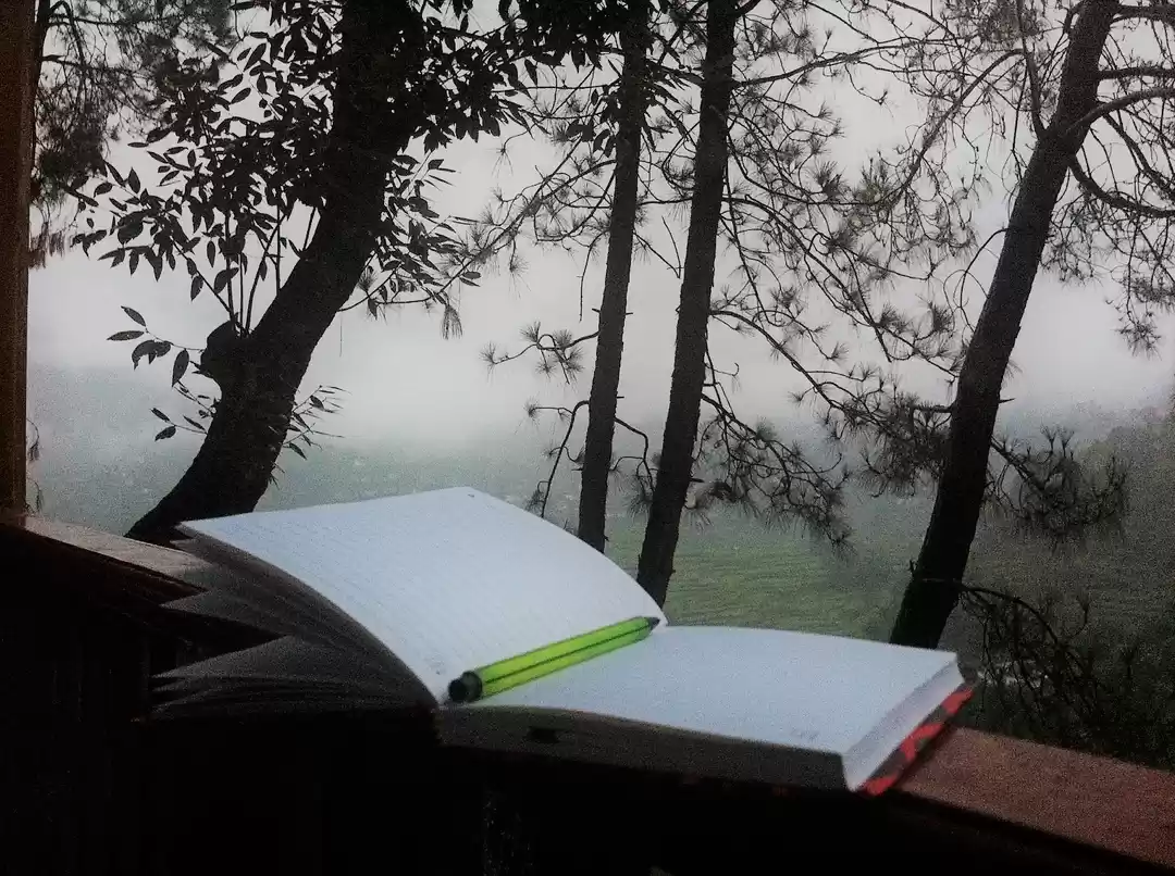 Photo of A Sunrise in Binsar