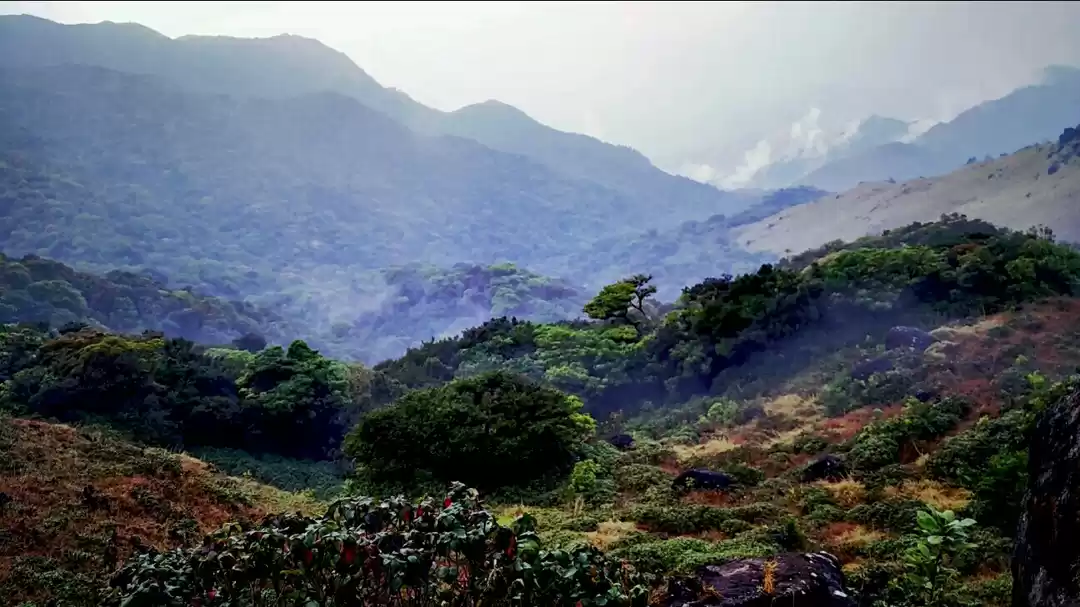 Photo of Coorg Tale : How I f